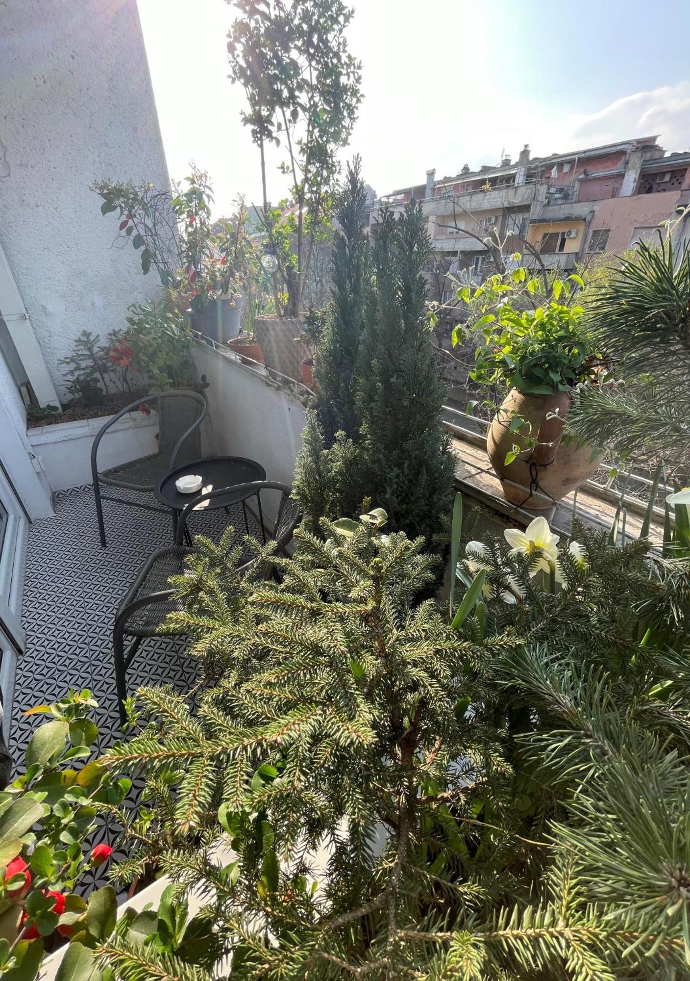 Apartman Avenia ノヴィ・サド エクステリア 写真