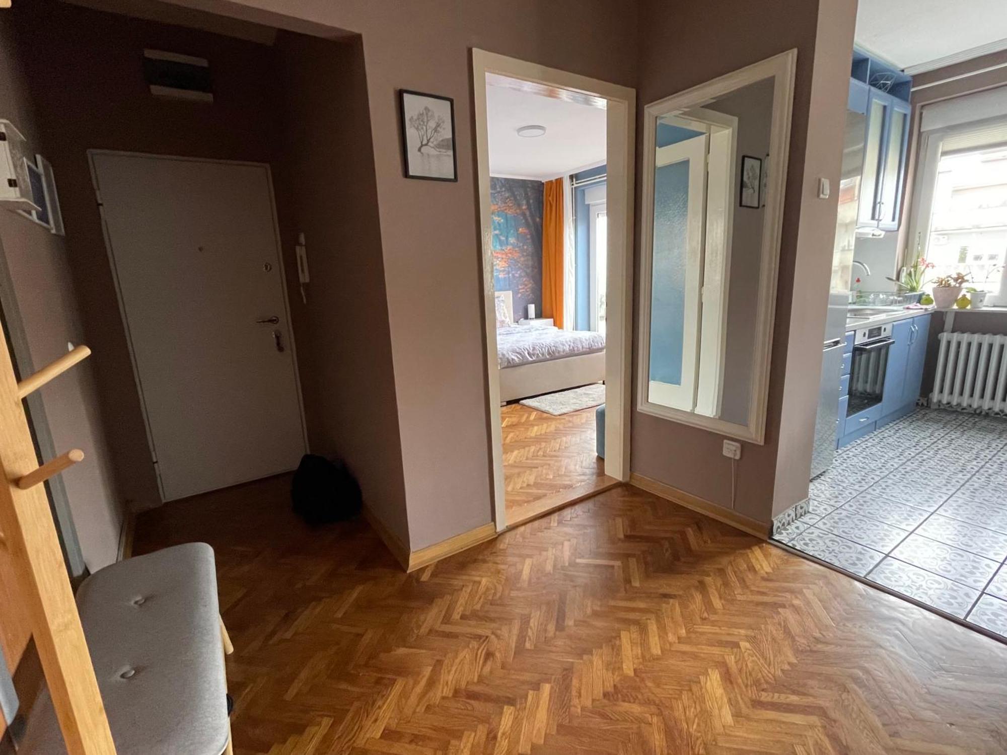 Apartman Avenia ノヴィ・サド エクステリア 写真