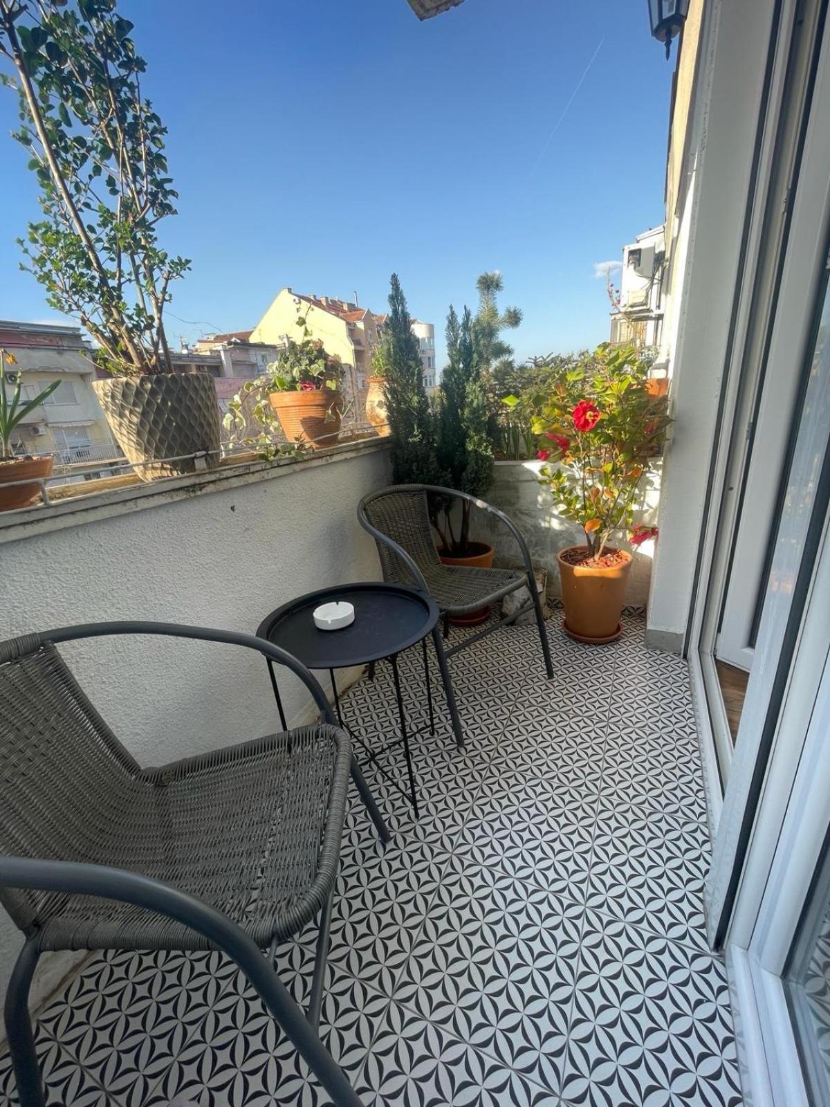 Apartman Avenia ノヴィ・サド エクステリア 写真